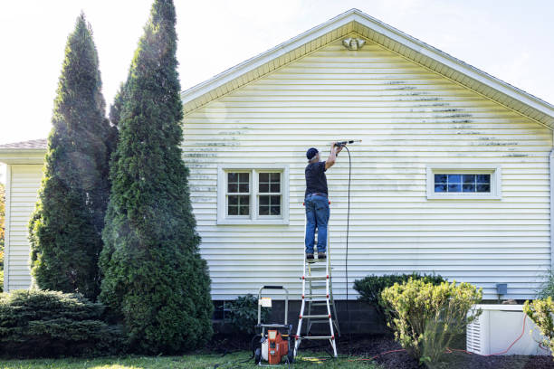 Best Spring Cleaning  in Rockwood, MI